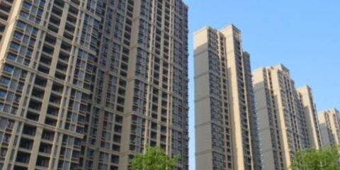 上海房地产信息咨询价格查询指南 专业服务与价值解析